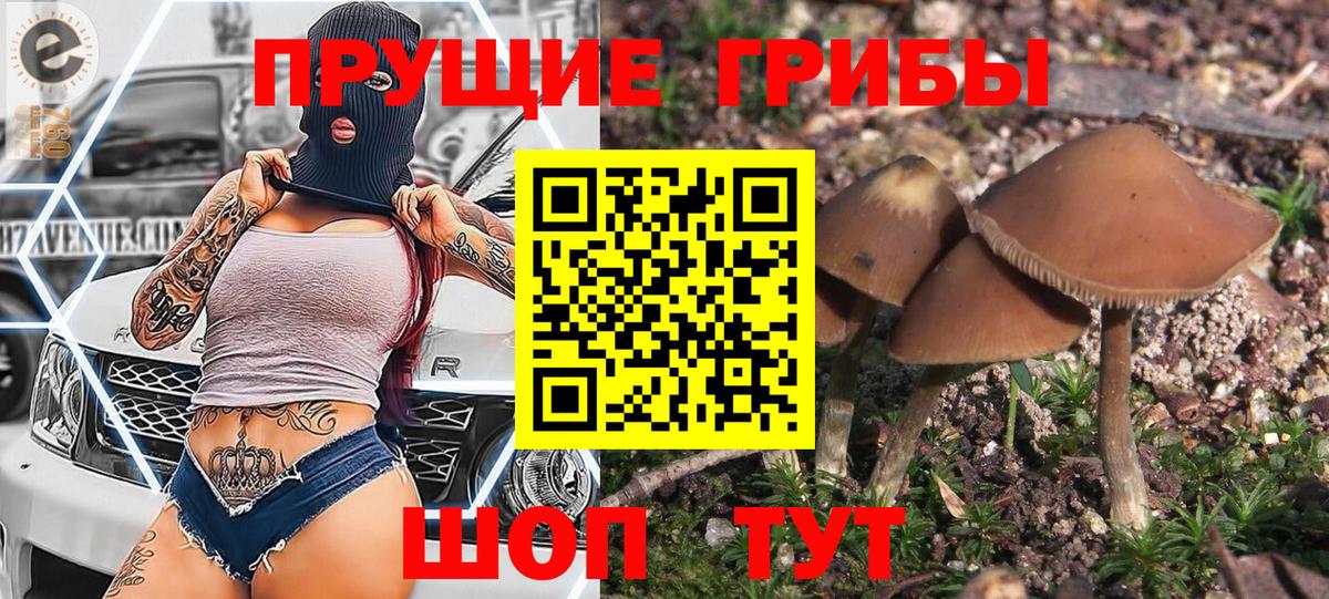Железногорск  Галлюциногенные грибы прущие грибы  Галлюциногенные грибы мухоморы  Вход с VPN 