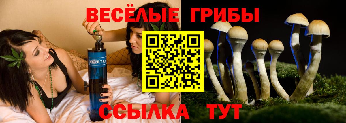 Псилоцибиновые грибы мицелий Железногорск